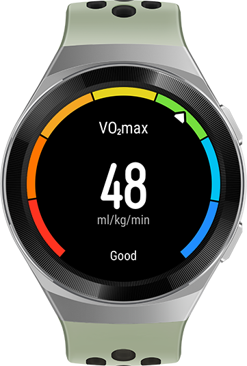 Huawei Watch GT 2e Graphite Black