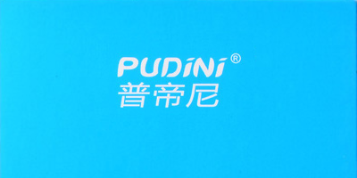 Pudini