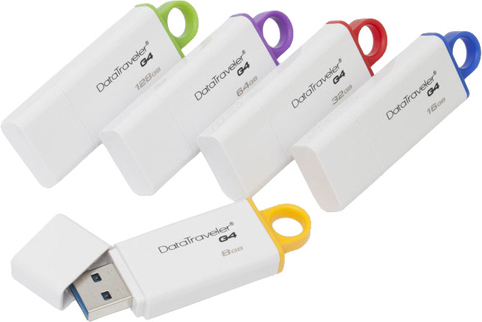 Flash disk fleška flesh disk Kingston DataTraveler G4