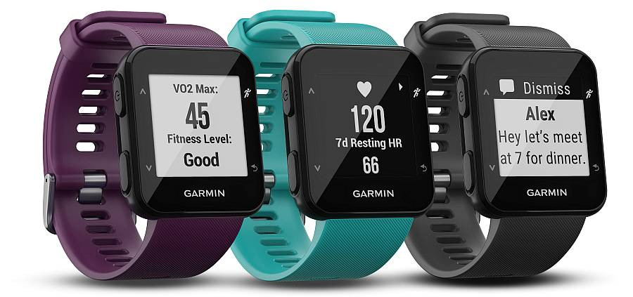 Sportovní hodinky Garmin Forerunner 30